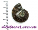 Ammonite Fossil AAA / ฟอสซิลหอย AAA [10078389]